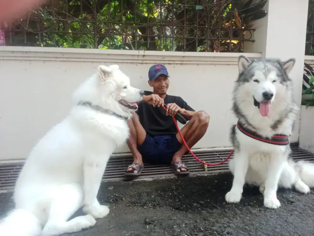 Mencari lowongan di perumahan untuk laki2, atau saya sendiri