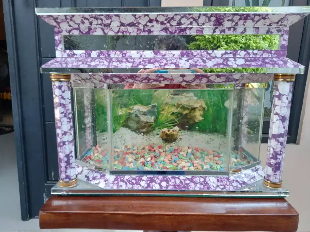 Aquarium mini istana