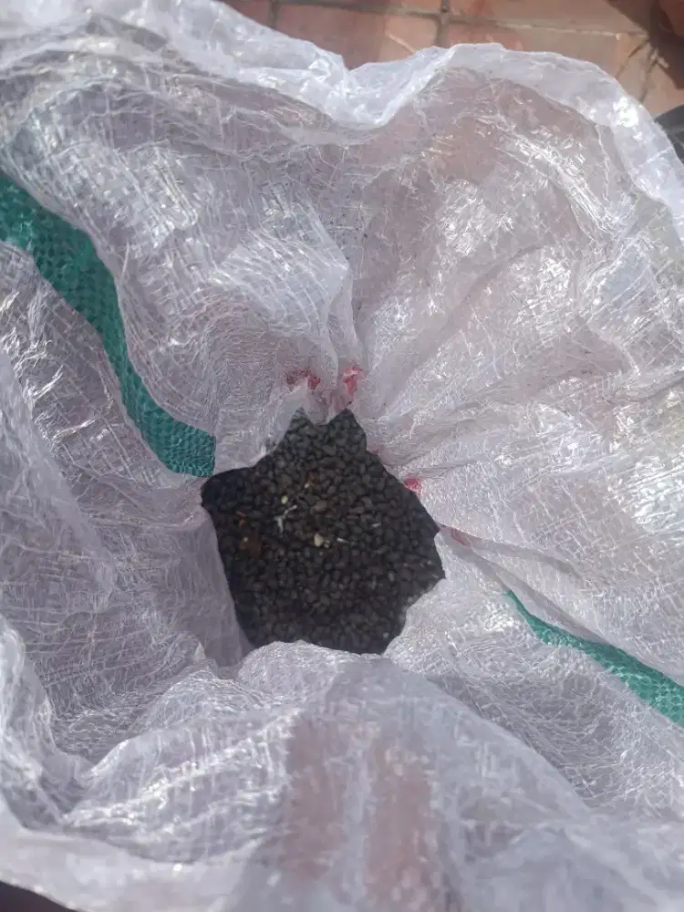 Batu koral Arol hitam pekat 5-7mm bisa untuk Aquascape Taman 15kg