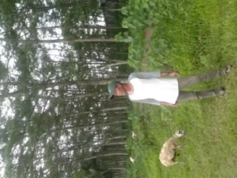 Saya butuh pekerjaan apa aja yg penting halal .