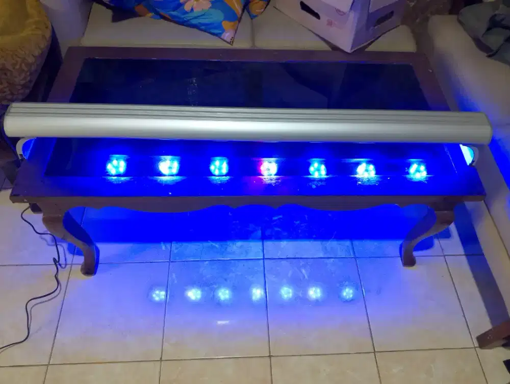 Lampu LED Aquarium Laut