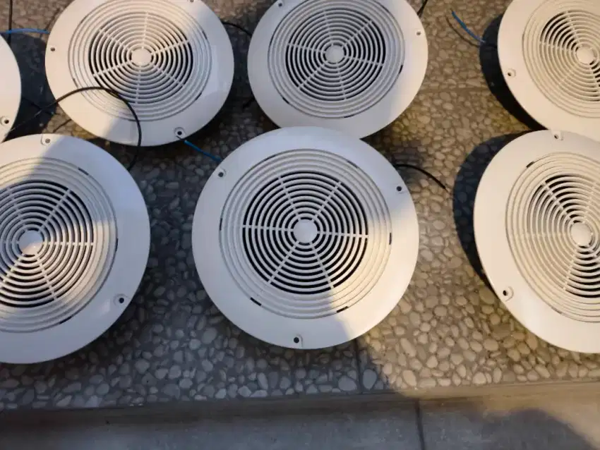 Speaker ceiling toa
