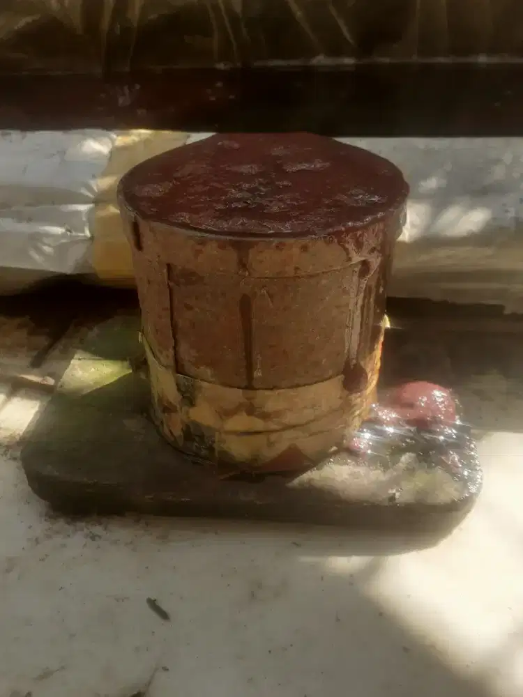 Cacing sutra literan