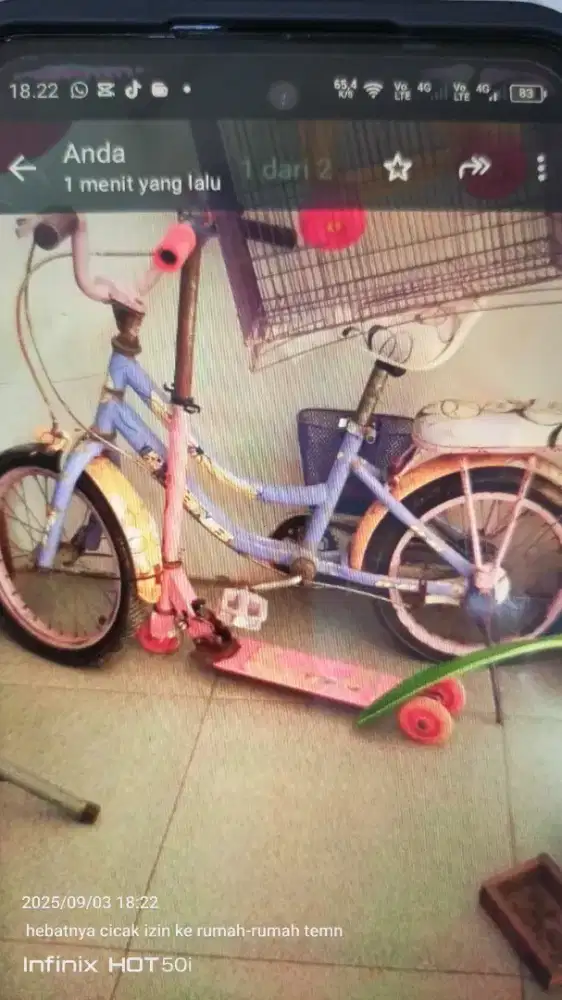 Sepedah anak apaadanya