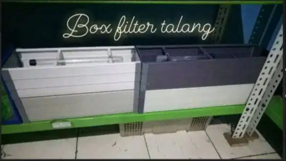 Box filter talang aquarium dan kolam