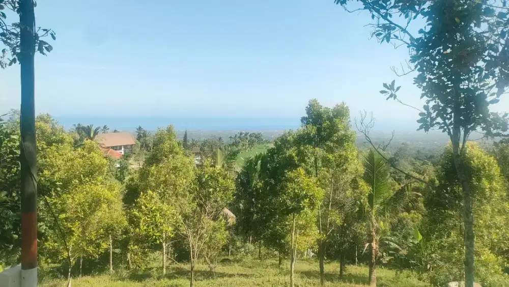 Tanah view laut dekat lovina di panji dekat air terjun aling aling