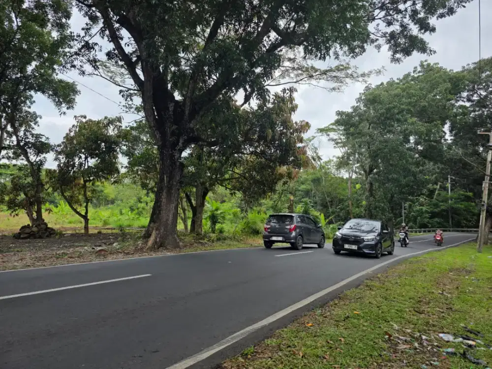 Di jual Tanah dan Kebun