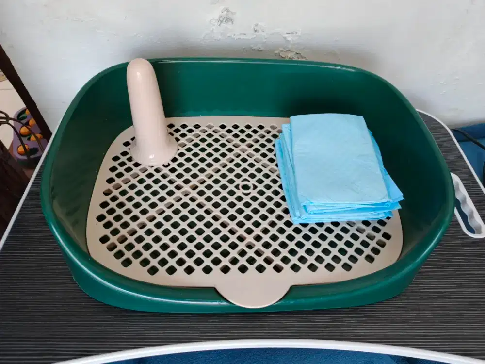 Toilet Anabul Pee & Poo