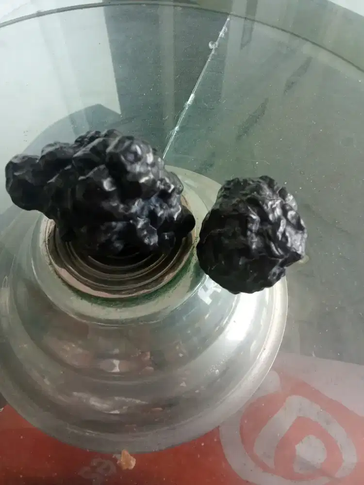 Batu petoskay  Mesir