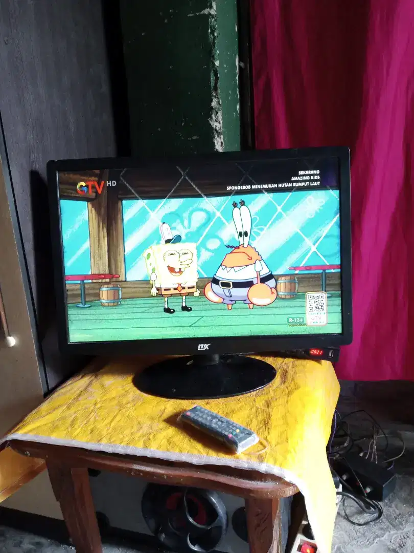 Lcd mon 22 in mx