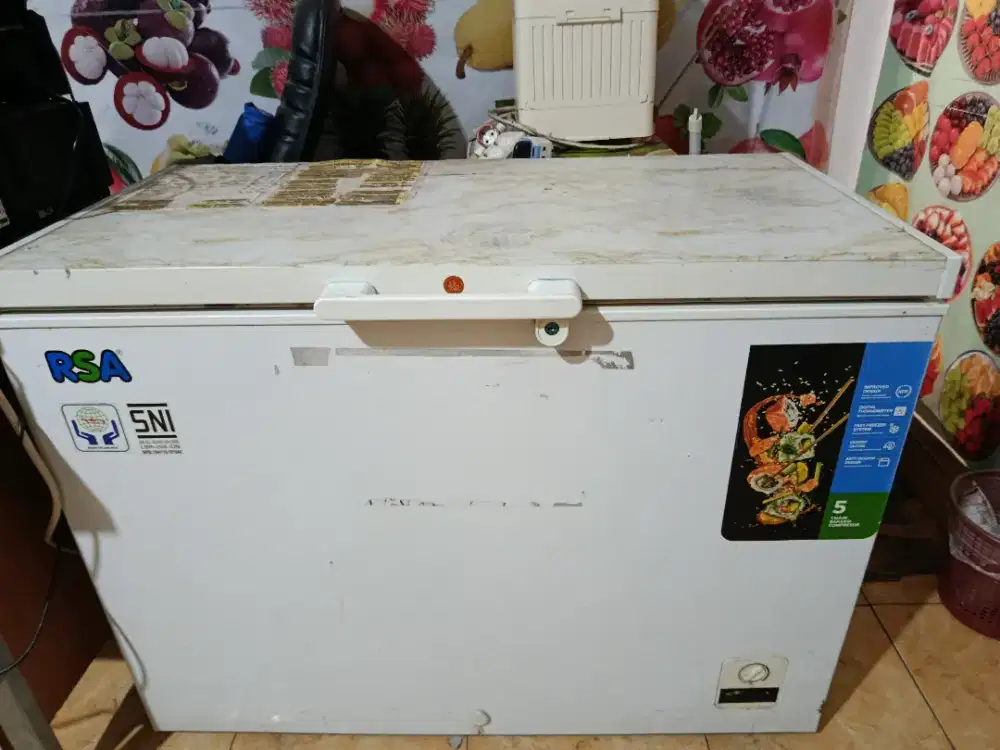 Frieezer Box Rumahan CF-310