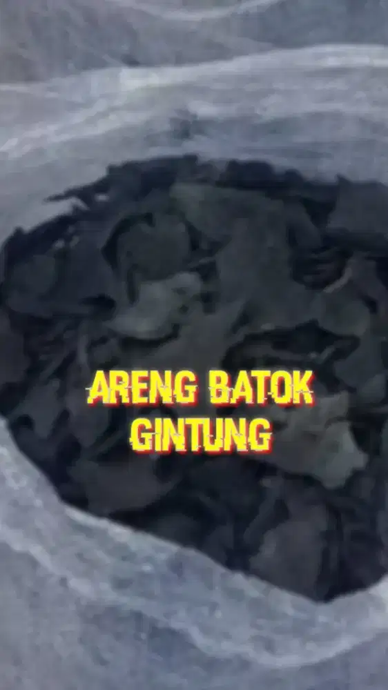 Areng Batok Kelapa