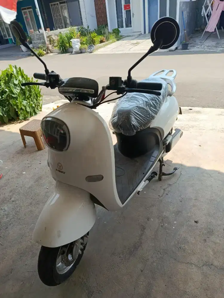 Motor listrik uwinfly golden turtle 2023