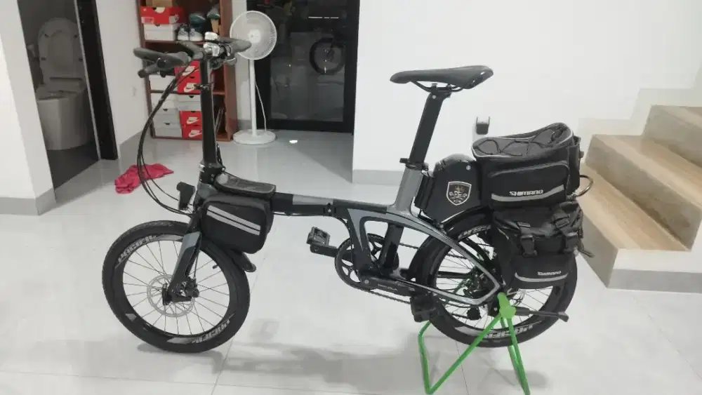 Sepeda ebike pasifik carbon limited edition