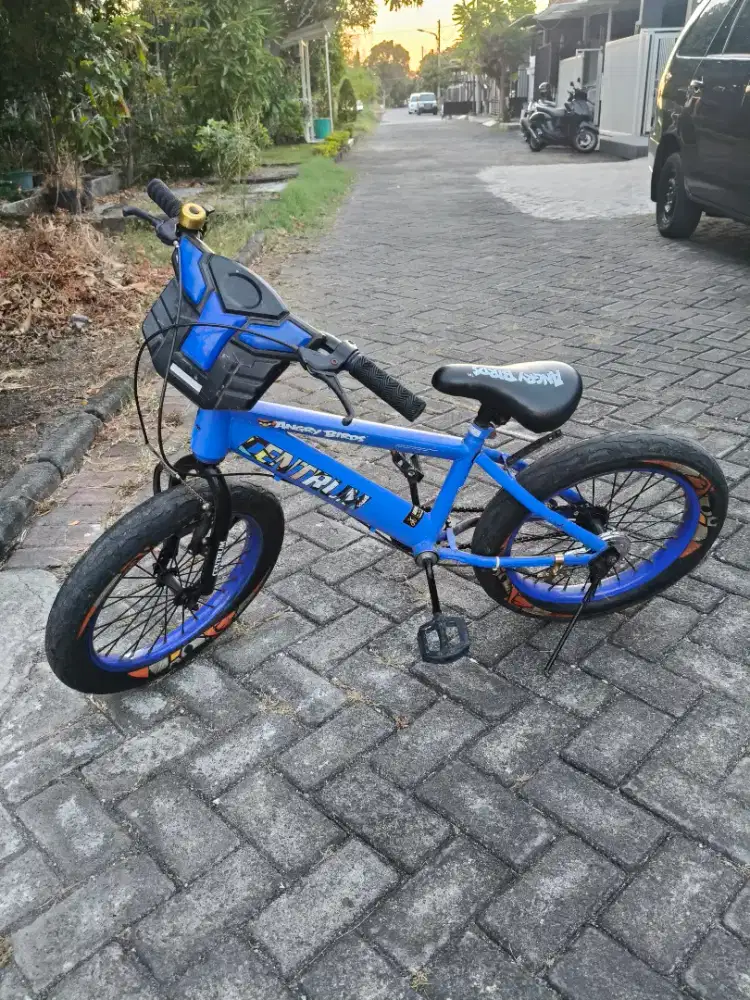 SEPEDA ANAK WARNA BIRU