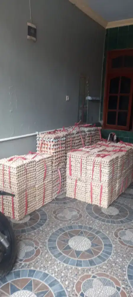 Telur Ayam Puyuh Bebek