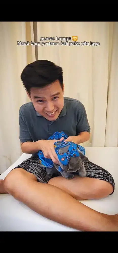 Indian Dress Sky Blue - Baju Anjing Kucing  - Ukuran S