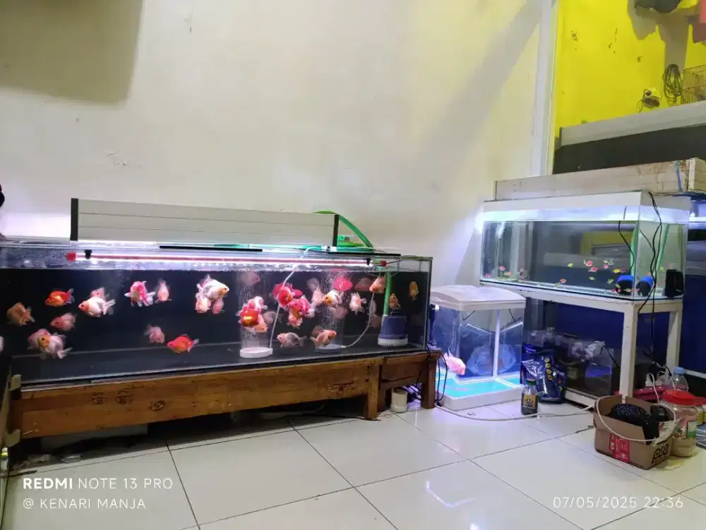 Aquarium akuarium atas bawah filter