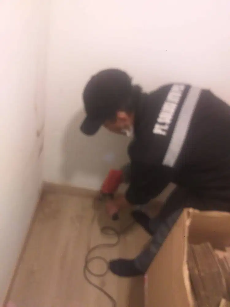 Basmi rayap kayu dan tanah hingga tuntas bergaransi ga tuntas