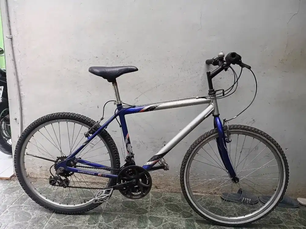 Wimcycle roadchamp 26 Alloy dobel bidon, siap goes. Ttambah speda bisa