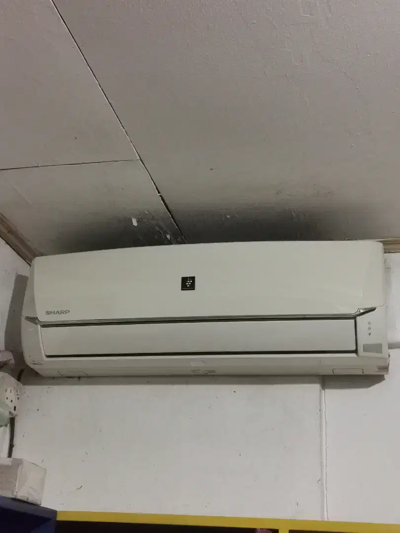 AC Sharp  split 1.5pk