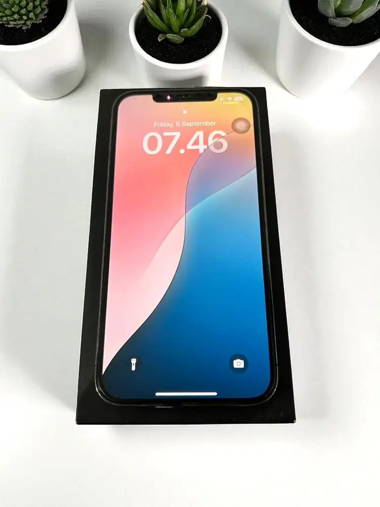 Iphone 12 Pro Max 128Gb Inter