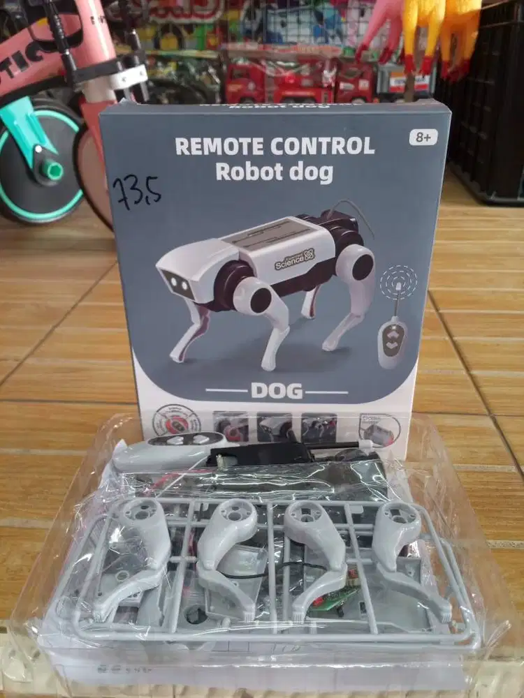 promo mainan anak rc cat dog