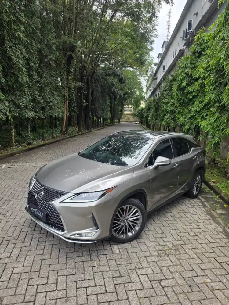 Lexus rx200t luxury Full upgrade rx300t 2015 / 2016 A/T Titanium sonic