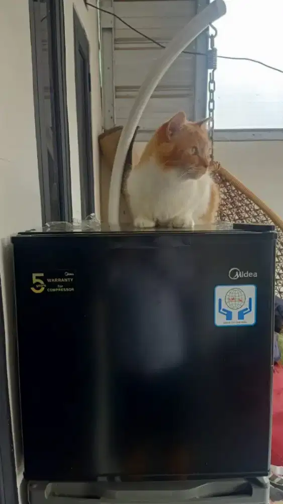 Kulkas mini portabel midea like new