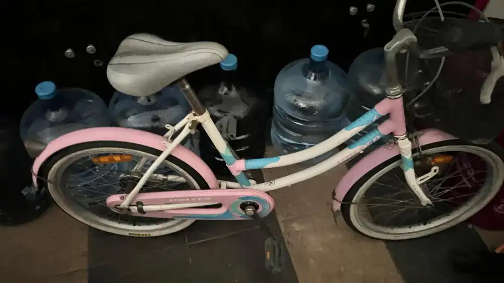 Sepeda united anak 18