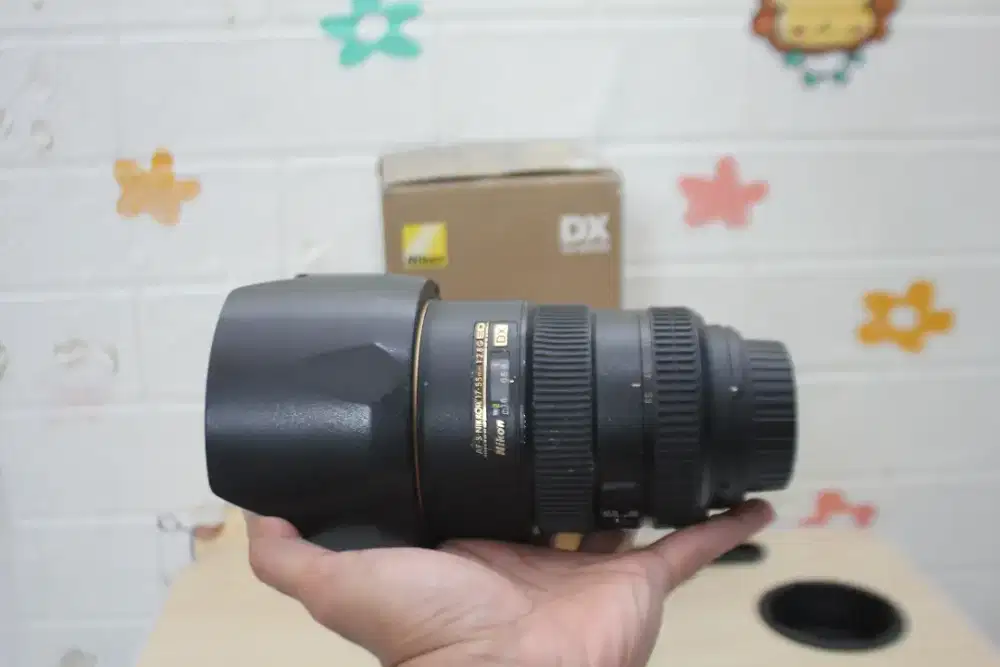 Lensa Nikon afs 17-55mm F2.8 hasil tajam