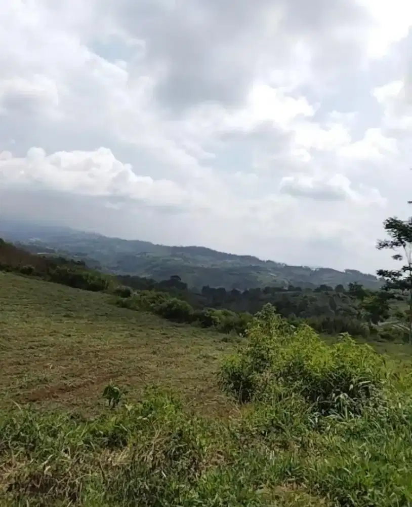 Lahan Subur cocok untuk pertanian perkebunan atau peternakan