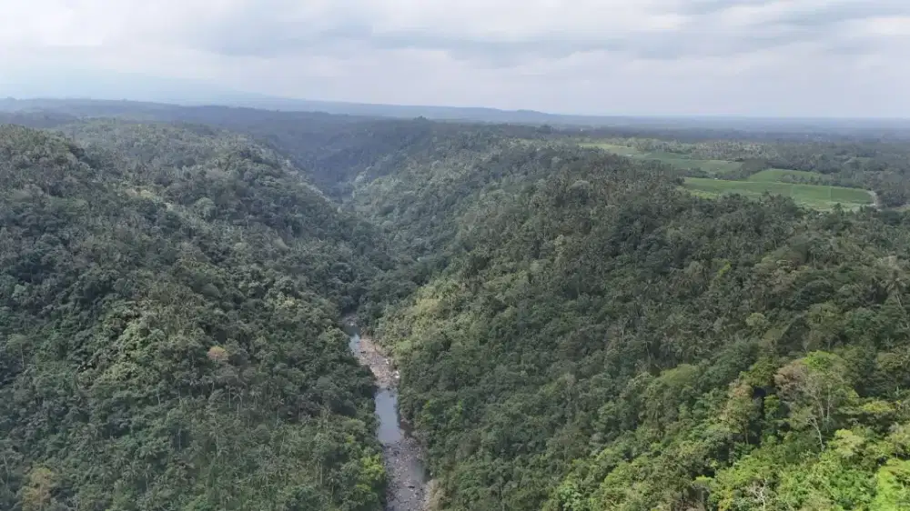 Dijual Tanah Kebun Los Sungai Exotik Dekat Pantai Surving Di Bali