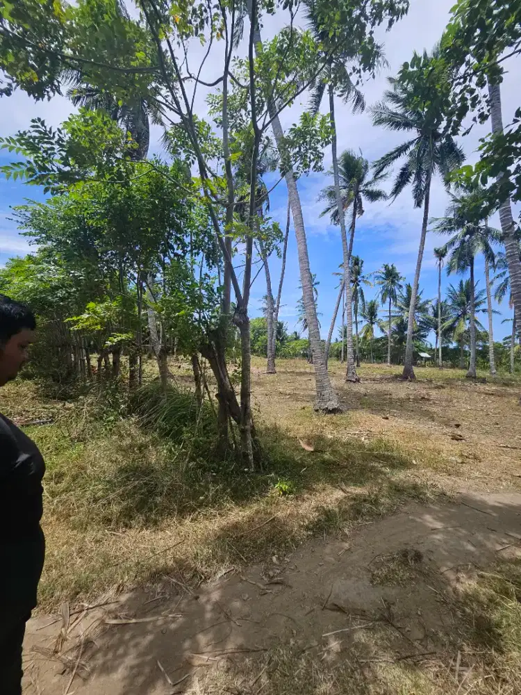 Tanah dijual 5.000 meter