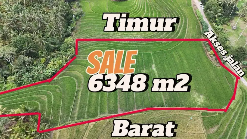 Tanah Sawah Aktif View Cantik Tabanan Bali