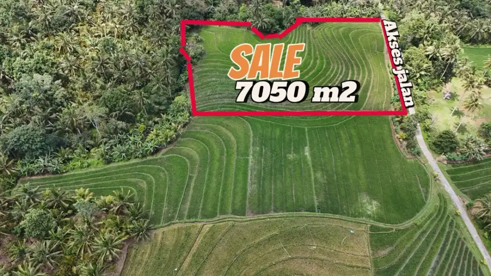 Dijual Tanah Sawah Aktif Bagus Dan Cantik Di Tabanan Bali