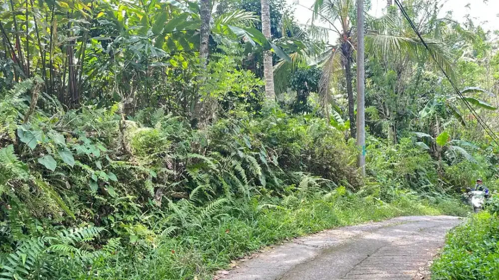 Dijual Tanah Diatas Jalan Isi Aneka  Buah Lokal Di Tabanan Bali