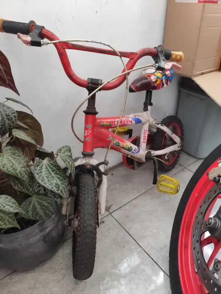 Sepeda Anak Roda 2