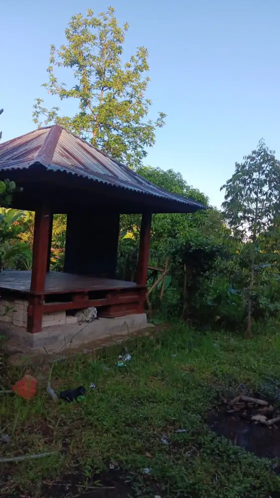 Tanah cocok untuk villa dekat dengan air terjun sekumpul