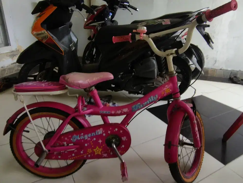 sepeda anak family 1688 pink ban ring 16