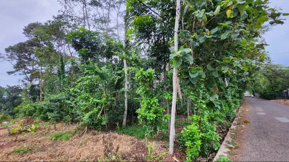 Dijual Tanah  Dekat dengan Perumahan BSB City Semarang