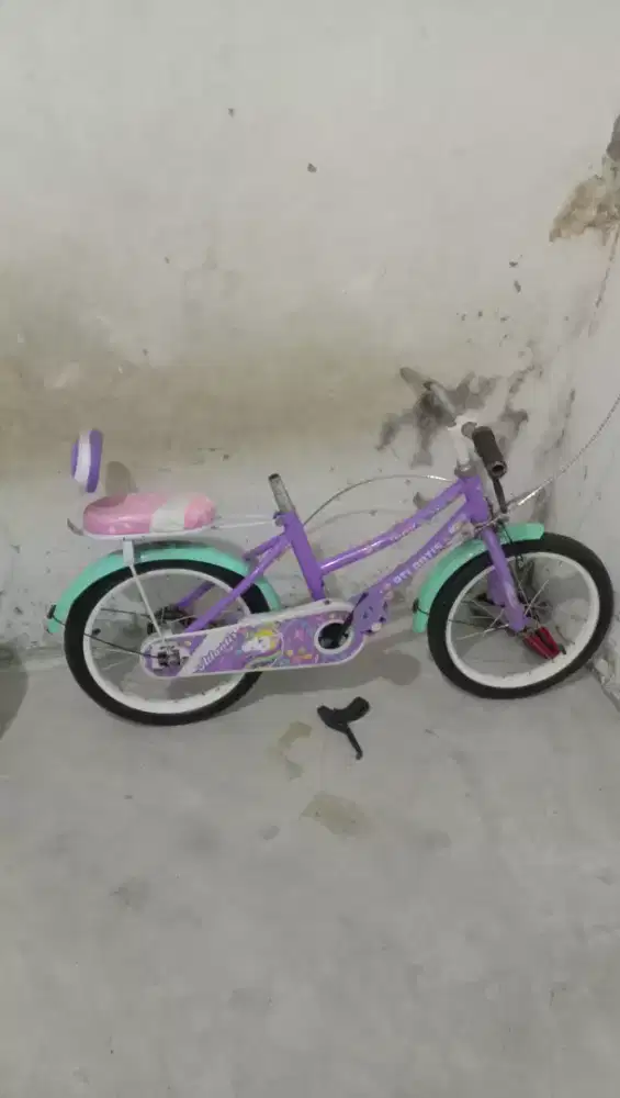 Sepeda anak perempuan baby little pony