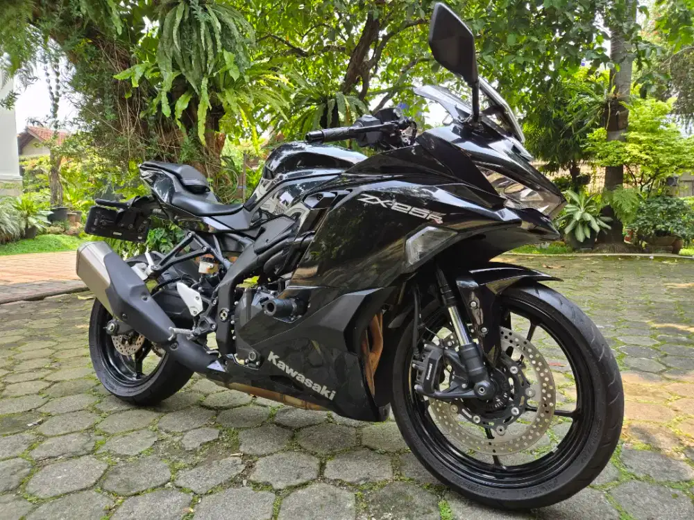 Kawasaki Ninja zx25r