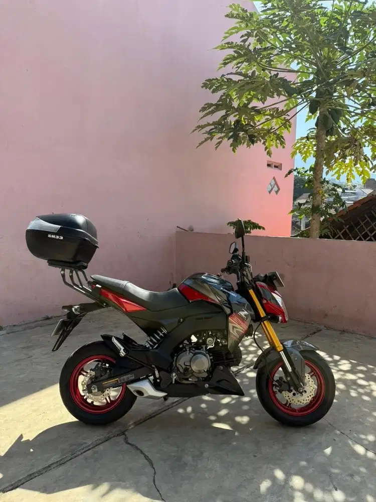 Kawasaki Z125 Pro istimewa