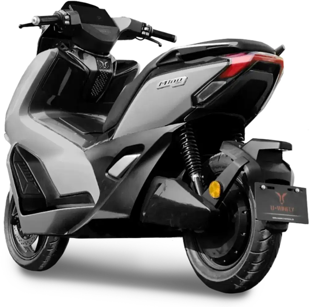 UWINFLY MOLIS TIPE M100