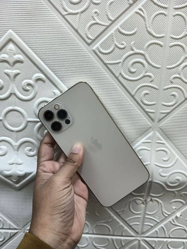 iphone 12 pm 128gb inter gold