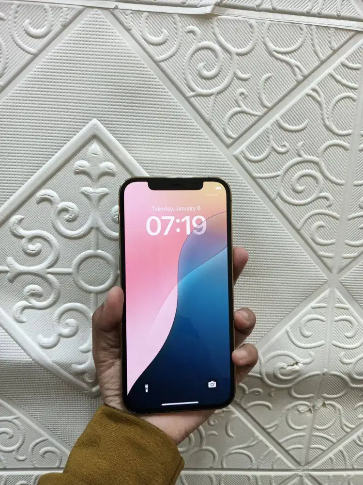 iphone 12 pm 128gb inter gold