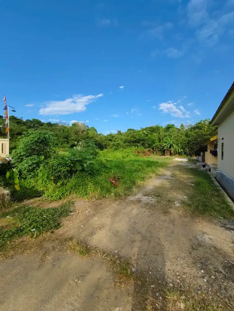 Tanah Murah Pinggir Jalan Raya, 2 Km Tol & Stasiun!