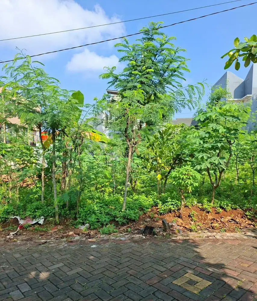 Dijual Tanah yg sangat potensi untuk Kos kosan dekat Undip Tembalang