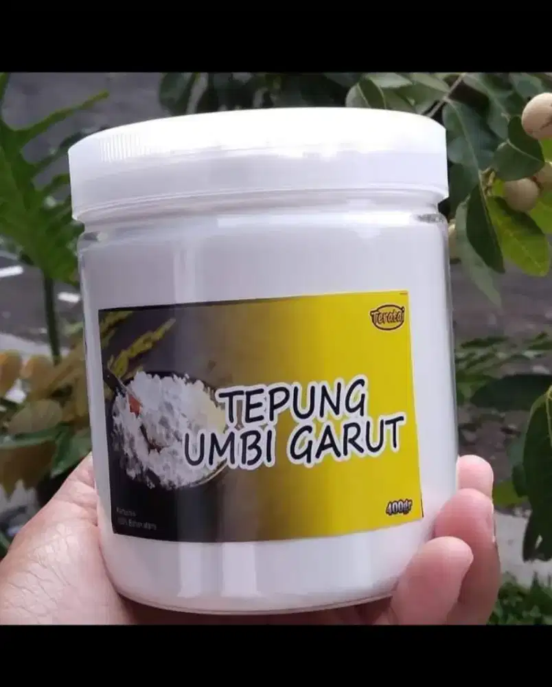 JUAL TEPUNG GARUT